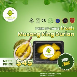 [1 Boxes] Musang King Fresh MSW Durian (300g/box) | Dehusk | Same Day Delivery