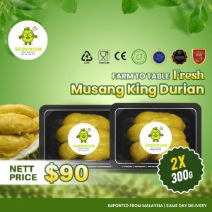 [2 Boxes] Musang King Fresh MSW Durian (300g/box) | Dehusk | Same Day Delivery