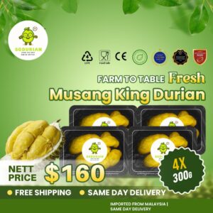 [4 Boxes] Musang King Fresh MSW Durian (300g/box) | Dehusk | Same Day Delivery