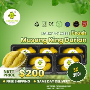[5 Boxes] Musang King Fresh MSW Durian (300g/box) | Dehusk | Same Day Delivery